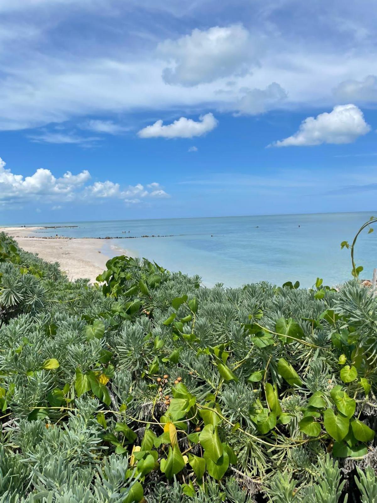 El Paraíso en la tierra de Capitán Fernando Chelem Esterno foto